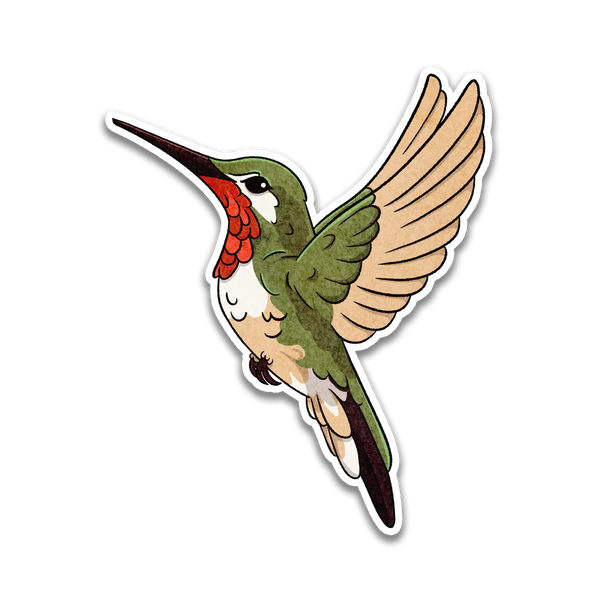 Stick With Finn Ruby Throated Hummingbird Sticker