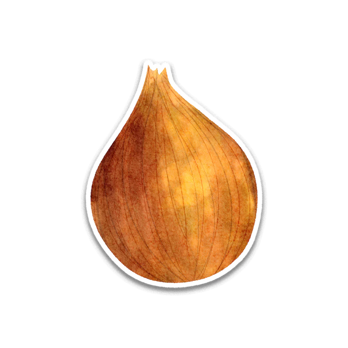 Stick With Finn Onion Sticker