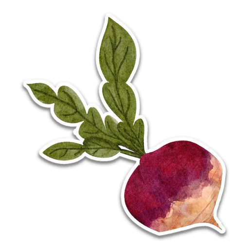 Stick With Finn Turnip Sticker