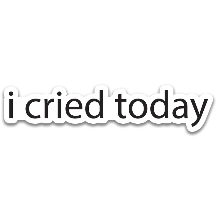 Stick With Finn "i cried today" Sticker