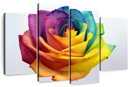 ElephantStock Rainbow Rose Wall Art