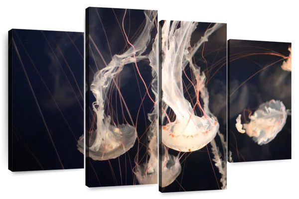 ElephantStock Light Of Jellyfish Wall Art