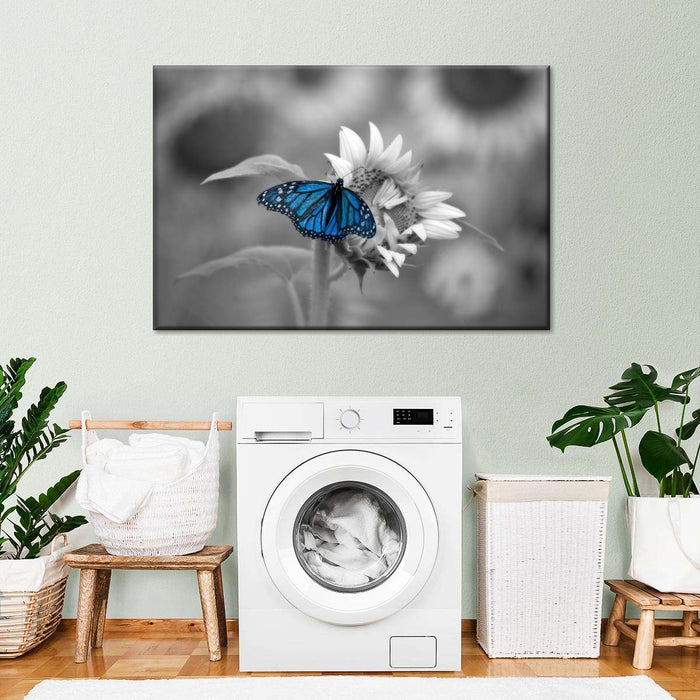 ElephantStock Butterfly Pop Wall Art