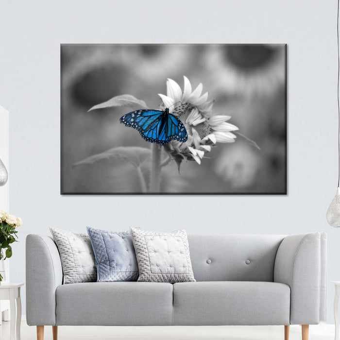 ElephantStock Butterfly Pop Wall Art