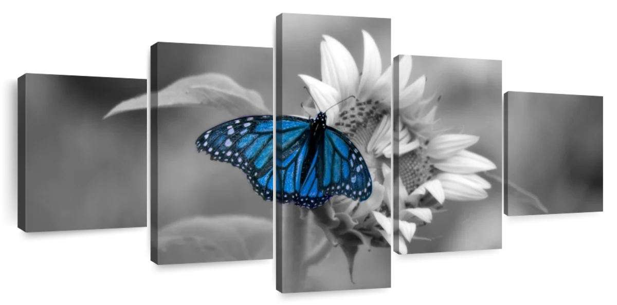 ElephantStock Butterfly Pop Wall Art