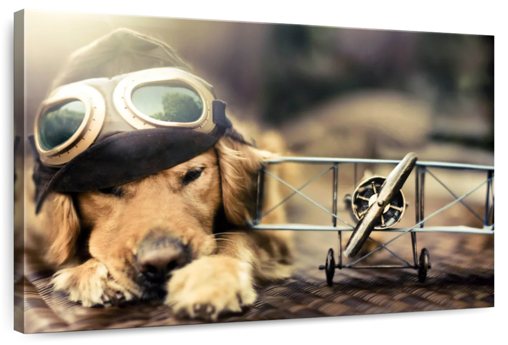 ElephantStock Dog Pilot Wall Art