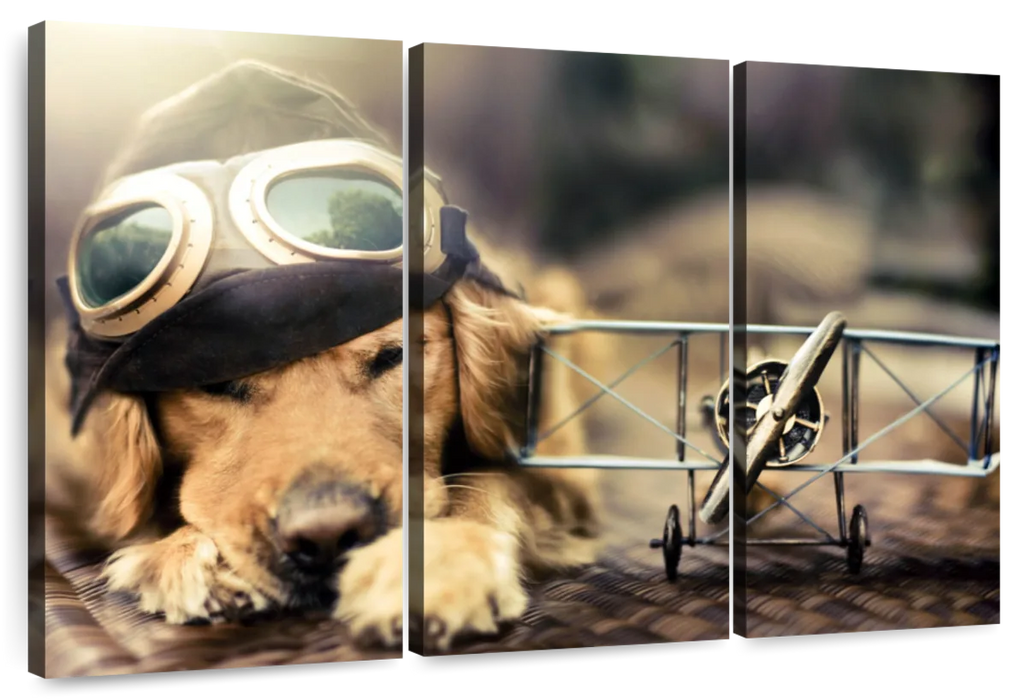 ElephantStock Dog Pilot Wall Art