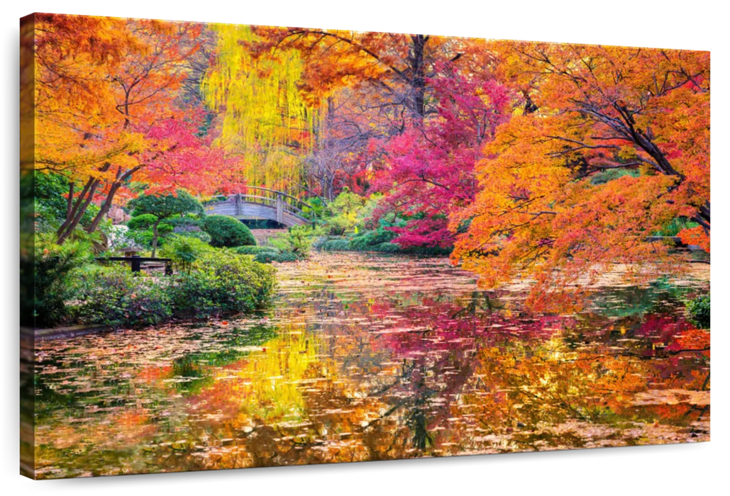 ElephantStock Colors Of Autumn Wall Art