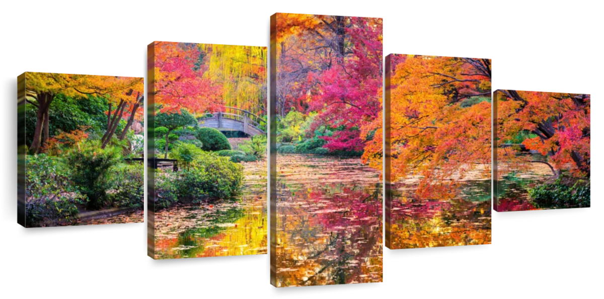 ElephantStock Colors Of Autumn Wall Art