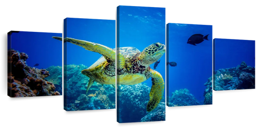 ElephantStock Glowing Turtle Wall Art