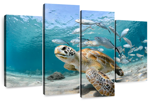 ElephantStock Curacao Fish And Turtle Wall Art