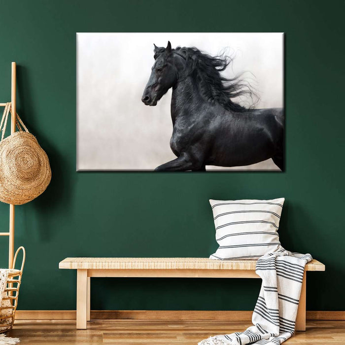 ElephantStock Black Friesian Horse Wall Art