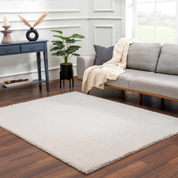 Hauteloom Heavenly Solid Beige Plush Rug