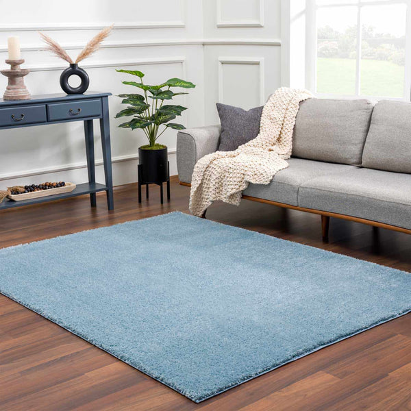 Hauteloom Heavenly Solid Blue Plush Rug