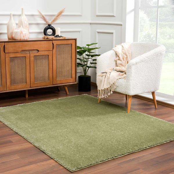 Hauteloom Heavenly Solid Green Plush Rug