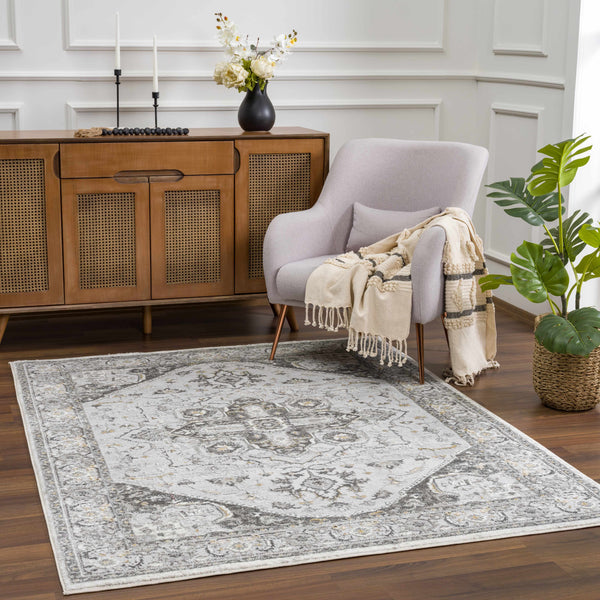 Hauteloom Liverpool Light Gray Area Rug