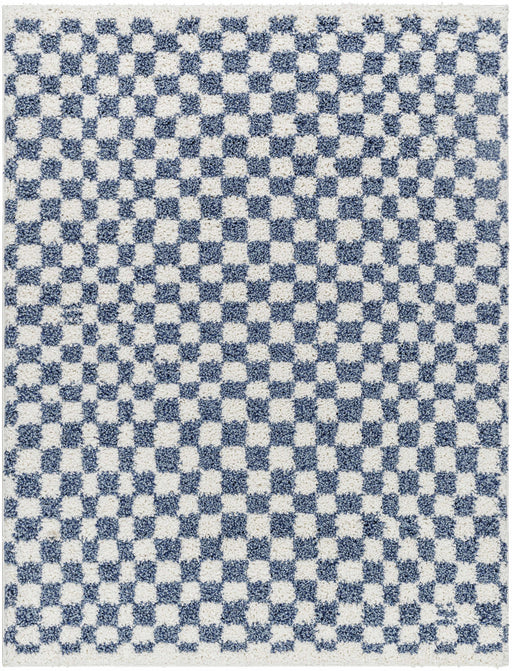 Hauteloom Kieu Blue & White Checkered Area Rug