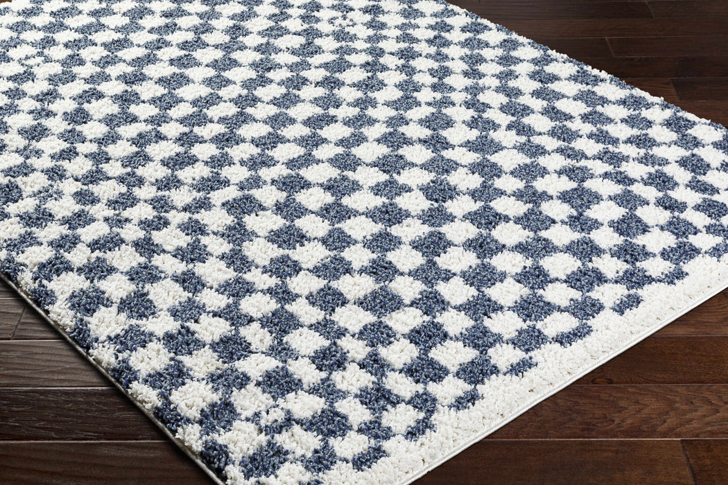 Hauteloom Kieu Blue & White Checkered Area Rug