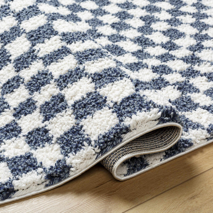 Hauteloom Kieu Blue & White Checkered Area Rug