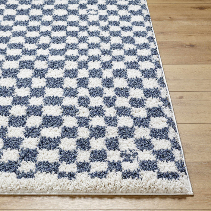 Hauteloom Kieu Blue & White Checkered Area Rug