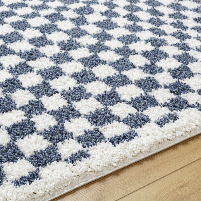 Hauteloom Kieu Blue & White Checkered Area Rug