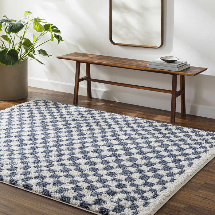 Hauteloom Kieu Blue & White Checkered Area Rug