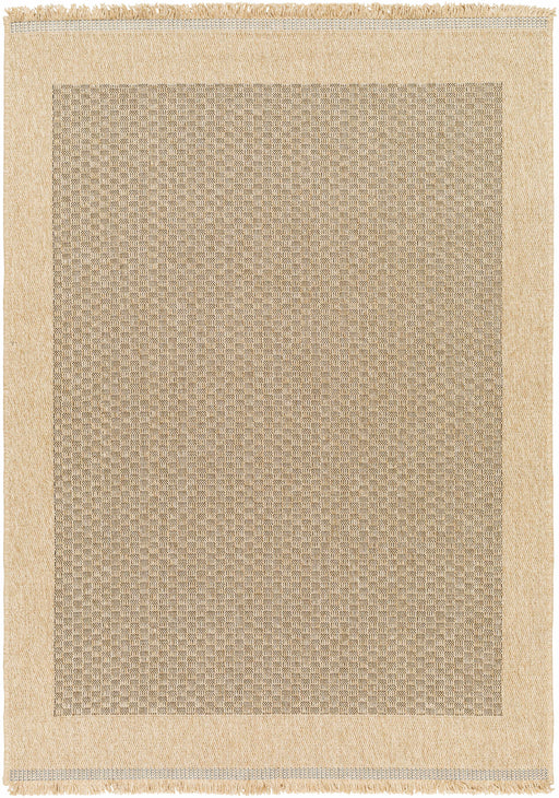 Hauteloom Biana Indoor & Outdoor Rug