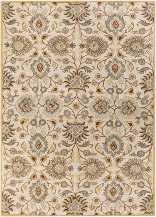 Hauteloom Conesus Hand Tufted Tan 1012 Wool Rug