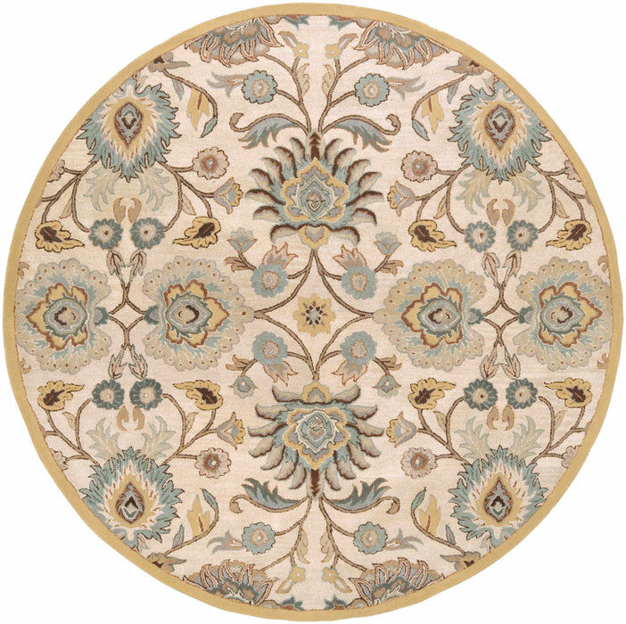 Hauteloom Conesus Hand Tufted Tan 1012 Wool Rug