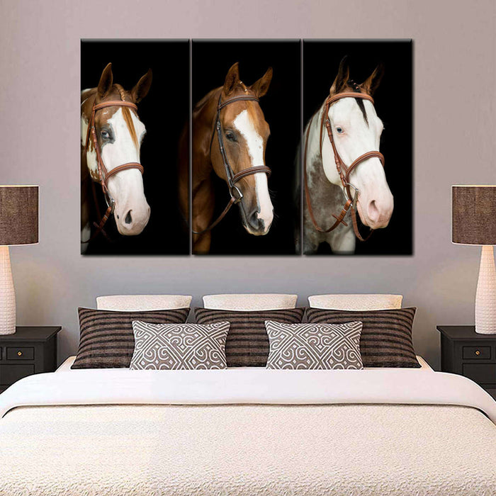 ElephantStock American Paint Horses Wall Art