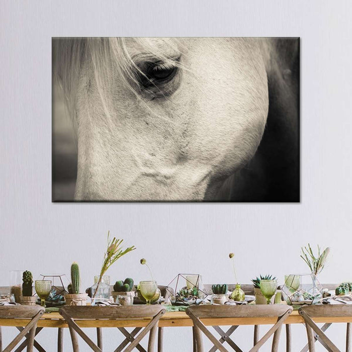 ElephantStock White Horse Eye Wall Art