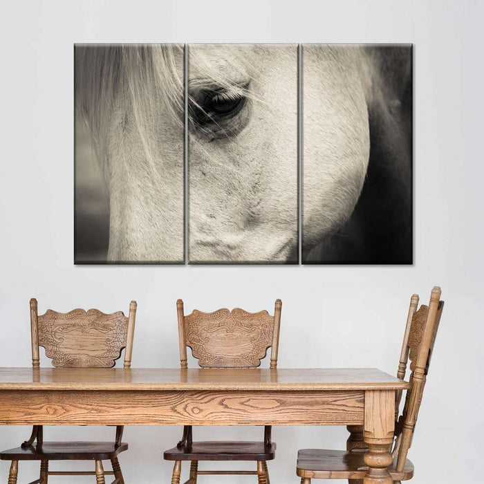 ElephantStock White Horse Eye Wall Art