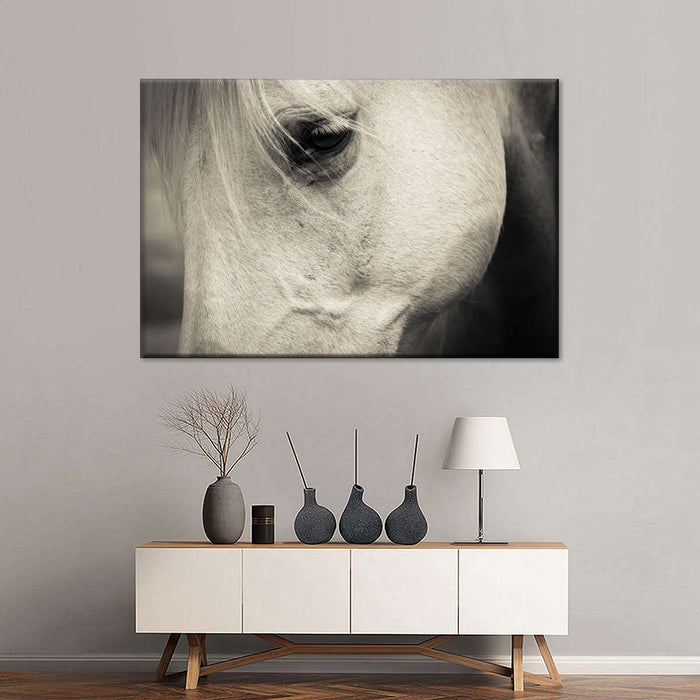 ElephantStock White Horse Eye Wall Art