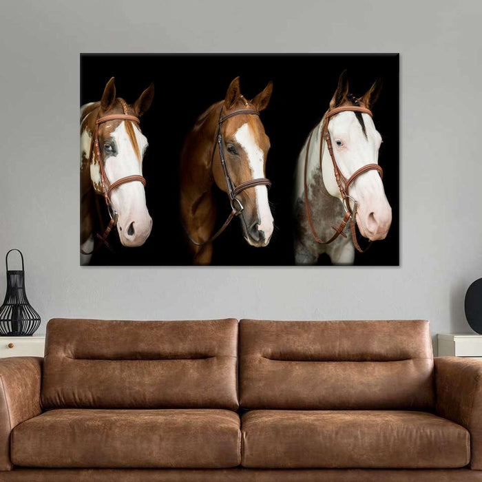 ElephantStock American Paint Horses Wall Art