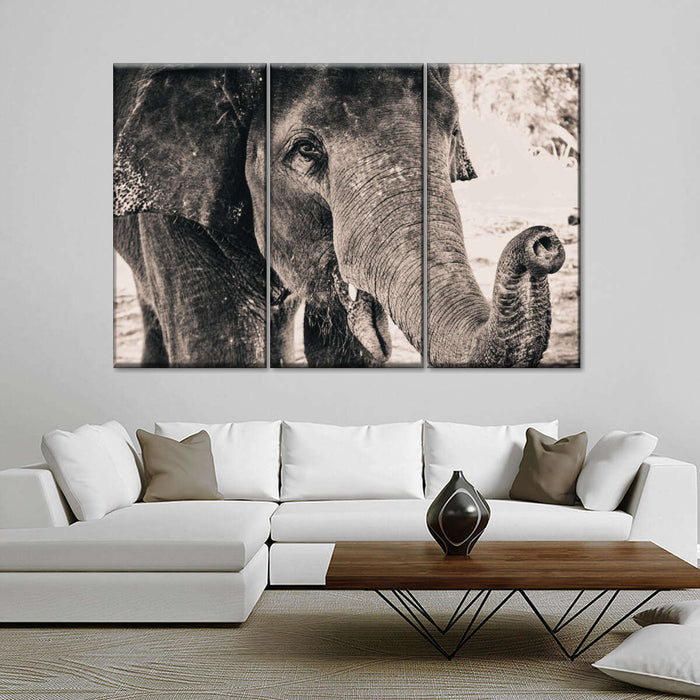 ElephantStock Elephant Up Close Wall Art