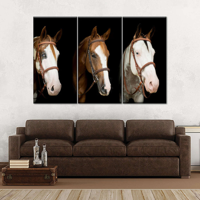 ElephantStock American Paint Horses Wall Art