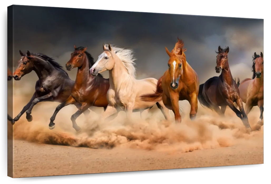 ElephantStock Desert Roaming Horses Wall Art