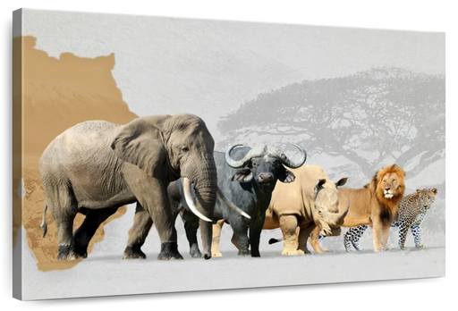 ElephantStock Iconic Safari Animals Wall Art