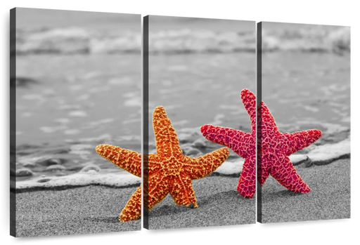 ElephantStock Nautical Starfish Duo Wall Art