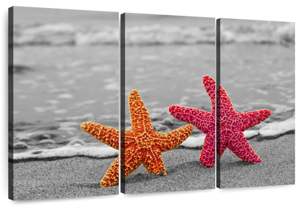 ElephantStock Nautical Starfish Duo Wall Art