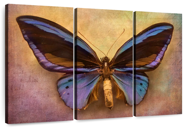 ElephantStock Purple Butterfly Wall Art