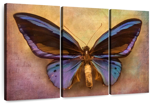 ElephantStock Purple Butterfly Wall Art