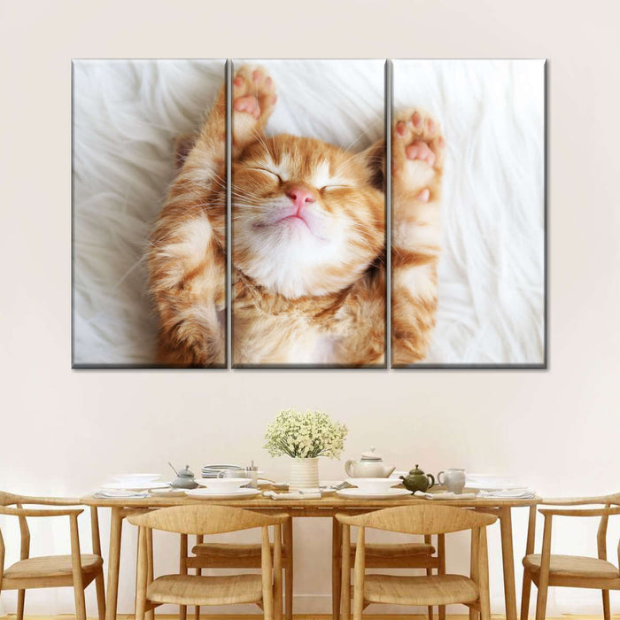 ElephantStock Sleepy Kitty Wall Art