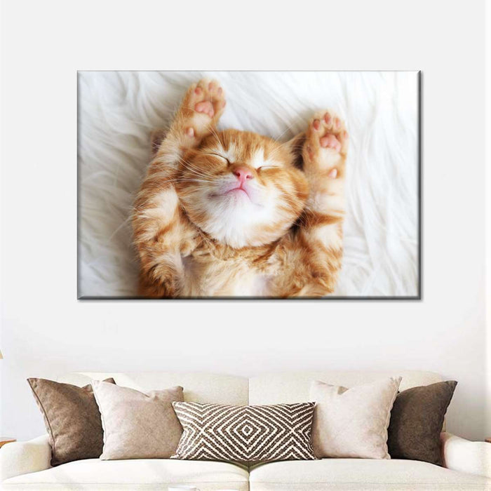 ElephantStock Sleepy Kitty Wall Art