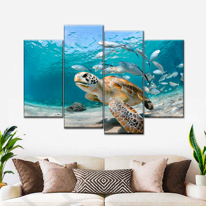 ElephantStock Curacao Fish And Turtle Wall Art