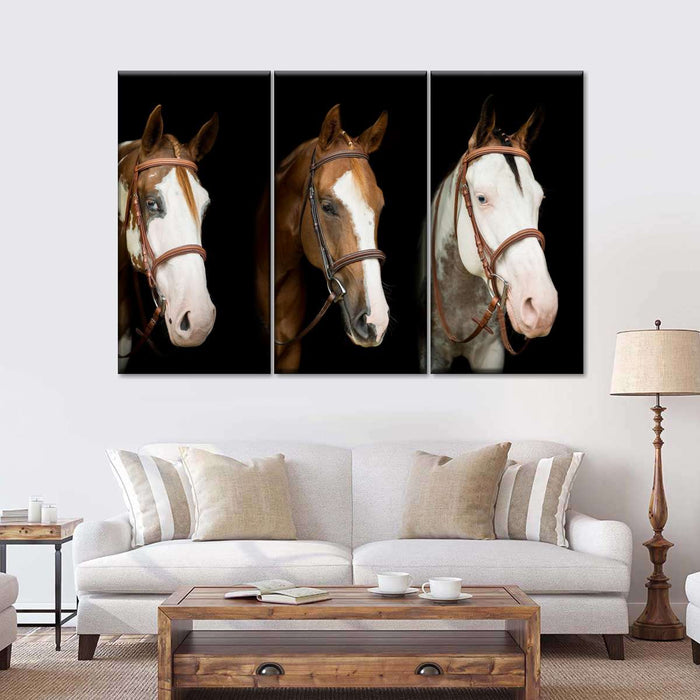 ElephantStock American Paint Horses Wall Art