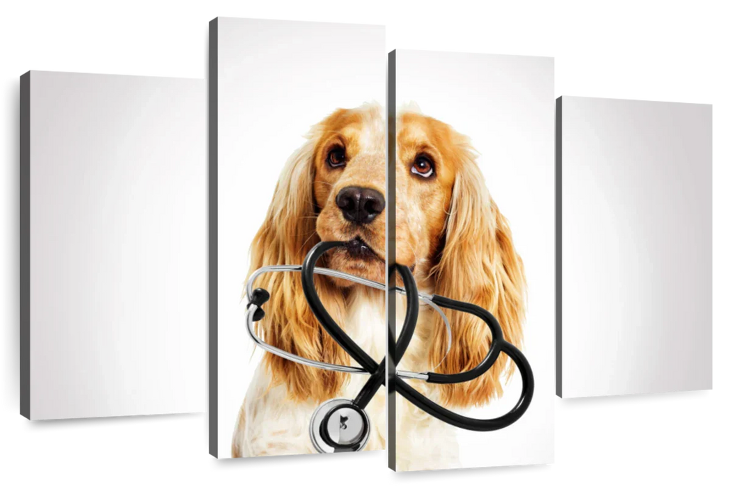 ElephantStock Doctor Dog Wall Art