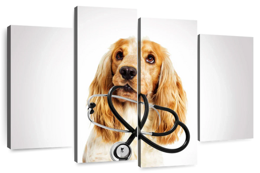 ElephantStock Doctor Dog Wall Art