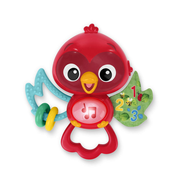 Baby Einstein Roxy'S Bright Flight™ Musical Toy