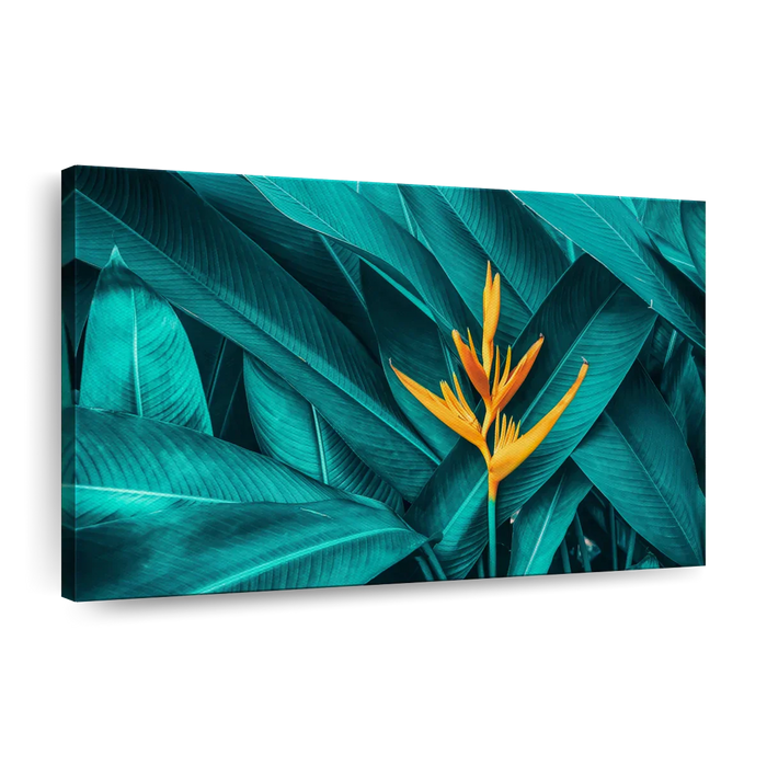 ElephantStock Exotic Tropical Bird Of Paradise Wall Art